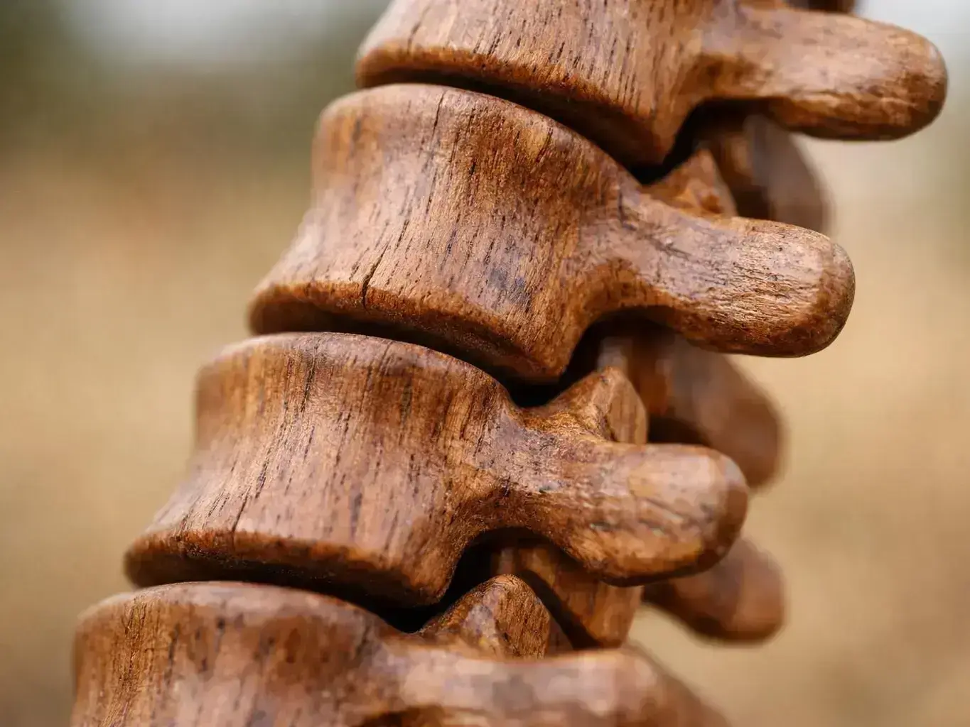 Chiropractor