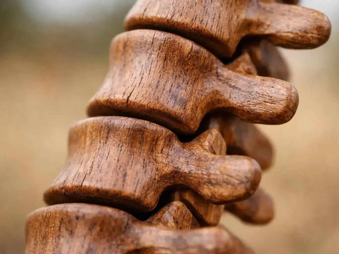 Chiropractic Consultation and Diagnosis in Forest Park, GA — in action
